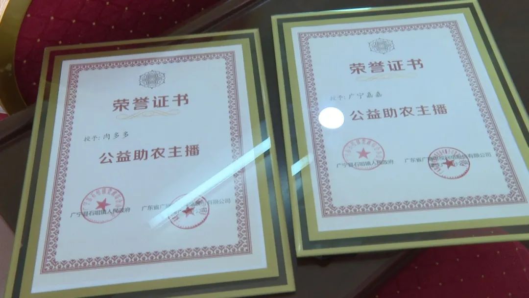 廣東廣電網(wǎng)絡(luò)：智慧廣電網(wǎng)絡(luò)平臺，開啟廣寧農(nóng)產(chǎn)品銷售新格局
