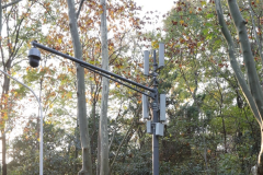 5G新基建如何快速規(guī)模布局？